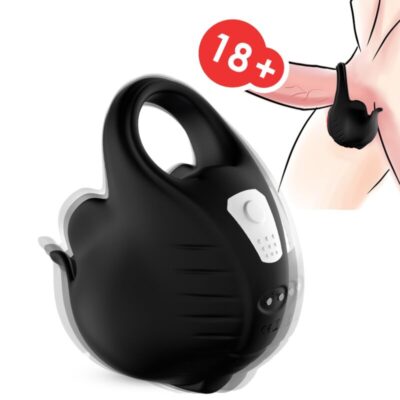 256187